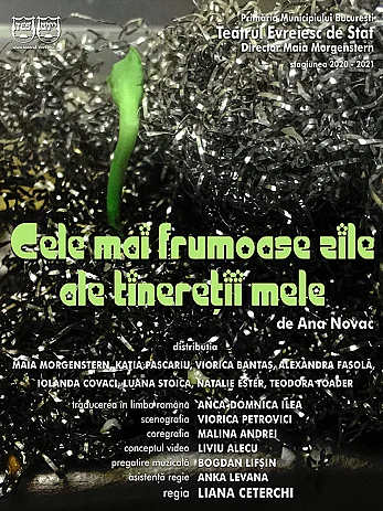 cele-mai-frumoase-zile-ale-tineretii-mele