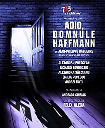 adio-domnule-haffmann