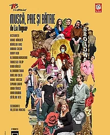 musca-paie-si-bataie