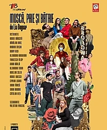 musca-paie-si-bataie