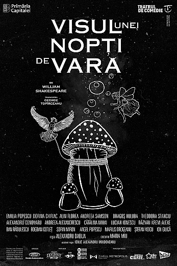 visul-unei-nopti-de-vara