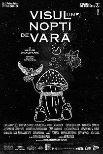 visul-unei-nopti-de-vara