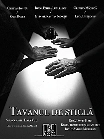 tavanul-de-sticla