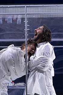 Zbor deasupra unui cuib de cuci