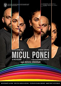 micul-ponei
