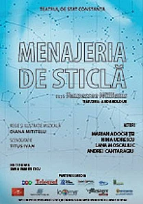 MENAJERIA DE STICLA