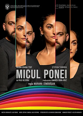 Micul ponei