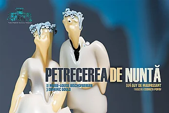 PETRECEREA DE NUNTA
