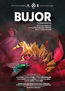 Bujor