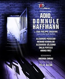 Adio, domnule Haffmann