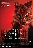 Incendii