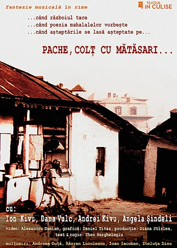 Pache, colț cu Mătăsari…