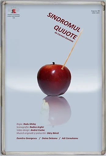 Sindromul Quijote