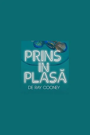 Prins în plasă