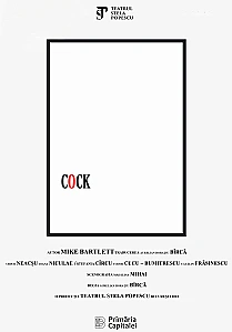 „Cock” la Teatrul Nottara