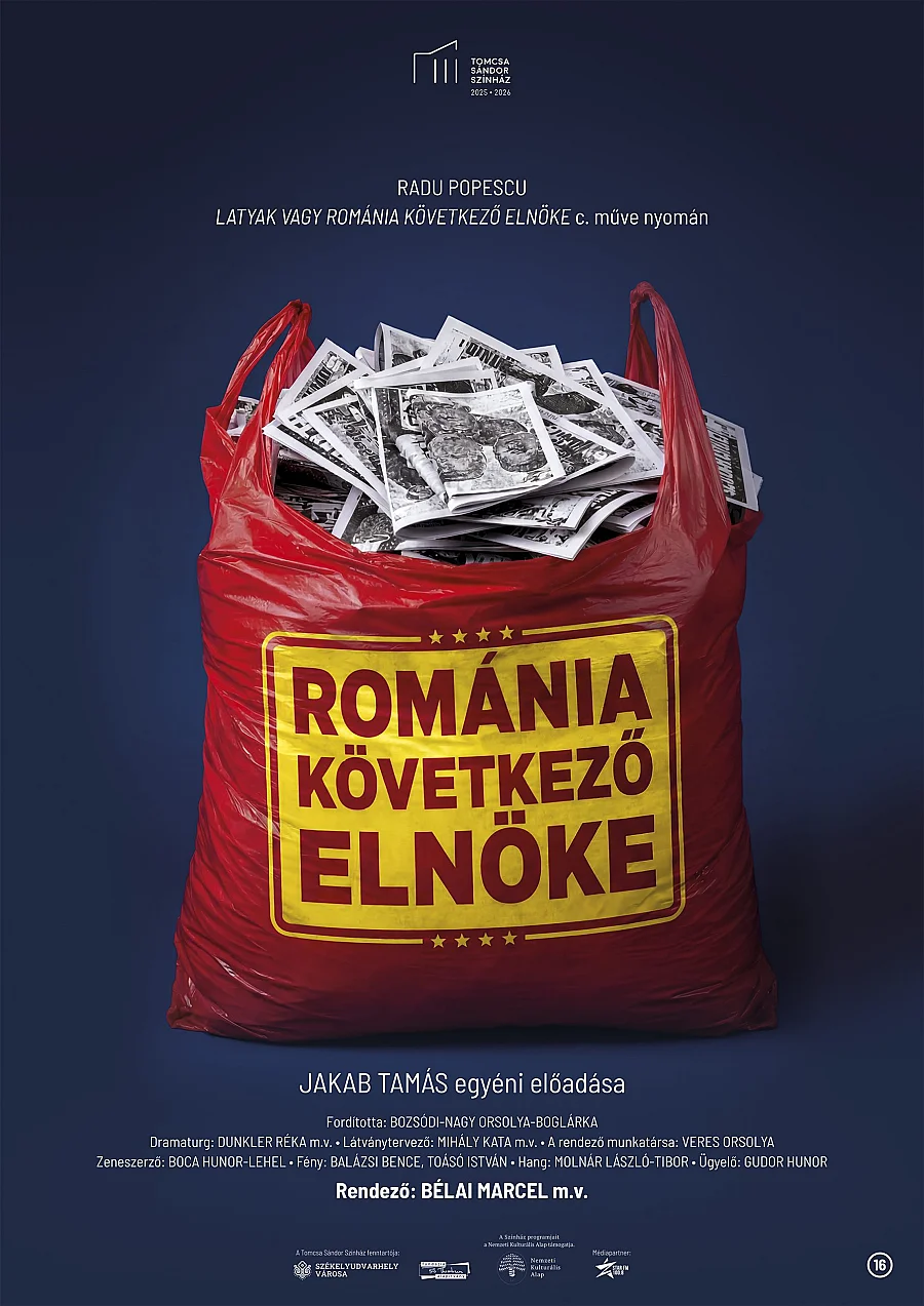 Viitorul președinte al României