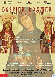 despina-doamnacronica-unui-destin