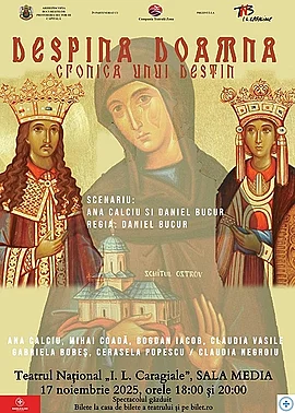 Despina Doamna.Cronica unui destin