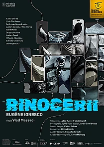rinocerii