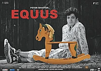 equus