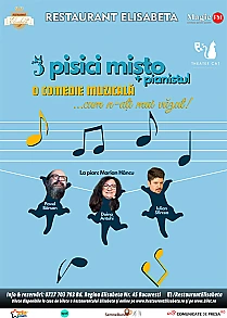 trei-pisici-misto-plus-pianistul