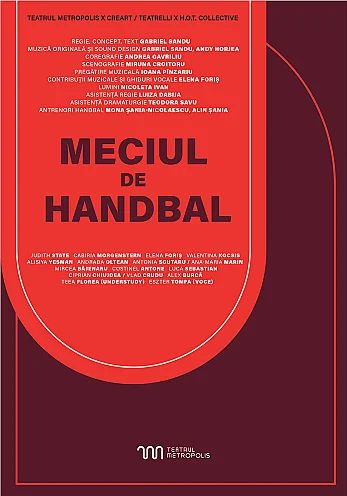 Meciul de handbal