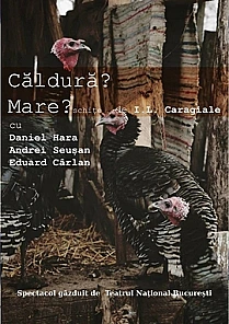 Caldura? Mare?