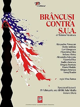 Brancusi contra SUA