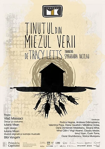 tinutul-din-miezul-verii