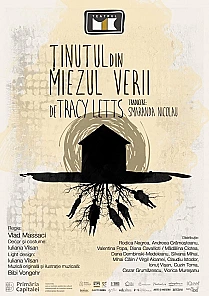 Tinutul din miezul verii