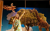 tristete-si-bucurie-in-viata-girafelor