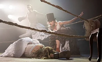 KNOCKOUT. Dulcea stiinta de a face vanatai
