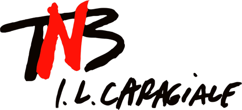 Teatrul National Bucuresti